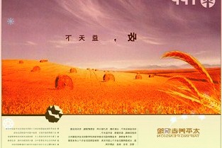 成都境内外上市公司达124家居中西部第一